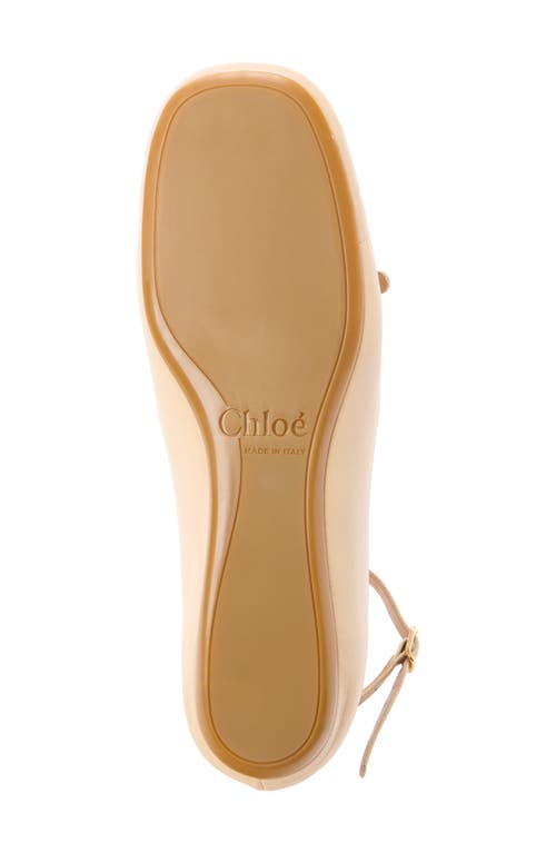 Chloé Chloe Misty Cut-out Leather Ballet Flats In Neutral