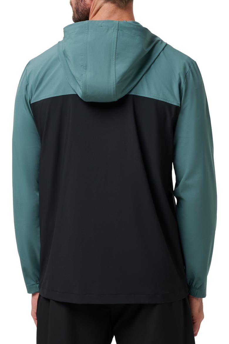 Meridian Quarter Zip Tech Hoodie, Alternate, color, SILVER PINE