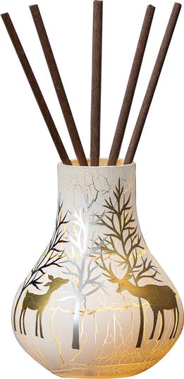 Diffuser With Led Reed HOME ESSENTIALS AND BEYOND Enchant LED Jumbo Reed Diffuser | Nordstromrack