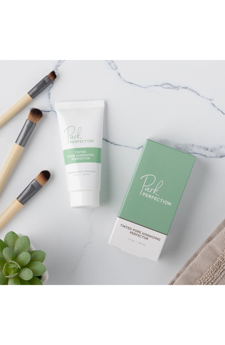 Park Perfection Tinted Pore Minimizing Perfector, Alternate, color, 