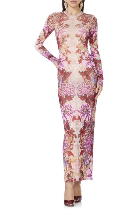 Didi Floral Print Mesh Maxi Dress