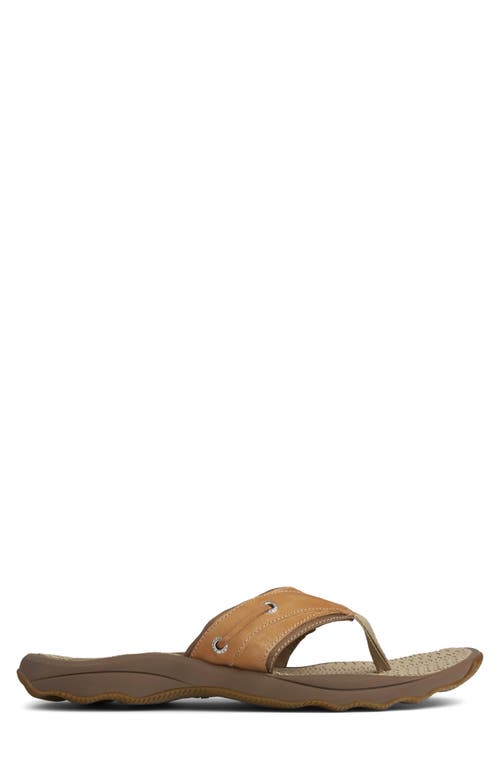 Sperry Outer Banks Flip Flop In Tan