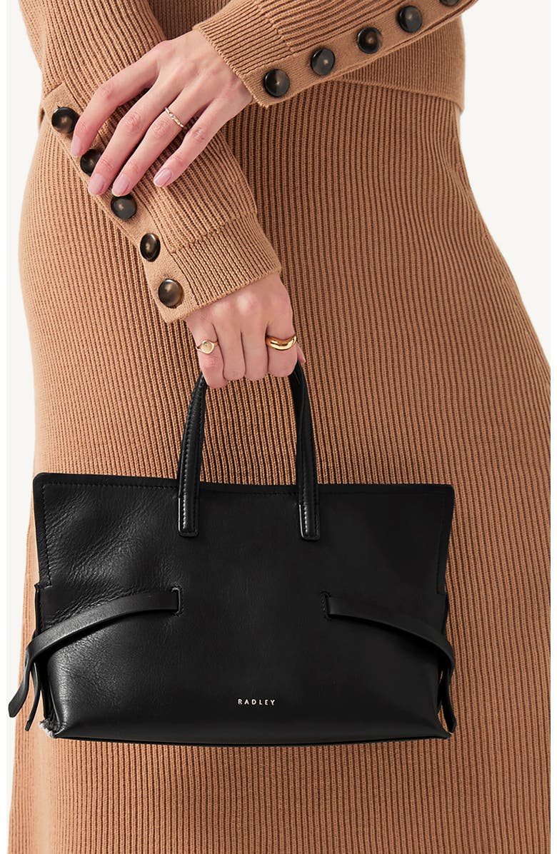 Radley Small Fleet Street Leather Crossbody Bag, Alternate, color, Black
