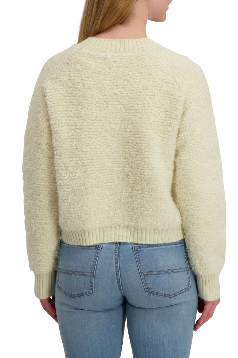 Raglan Sleeve Bouclé Cardigan, Alternate, color, TOFU