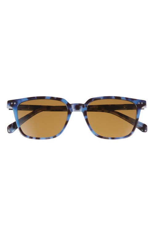 Eyebobs C Suite 50mm Square Reading Glasses In Robin's Egg Tortoise/brown