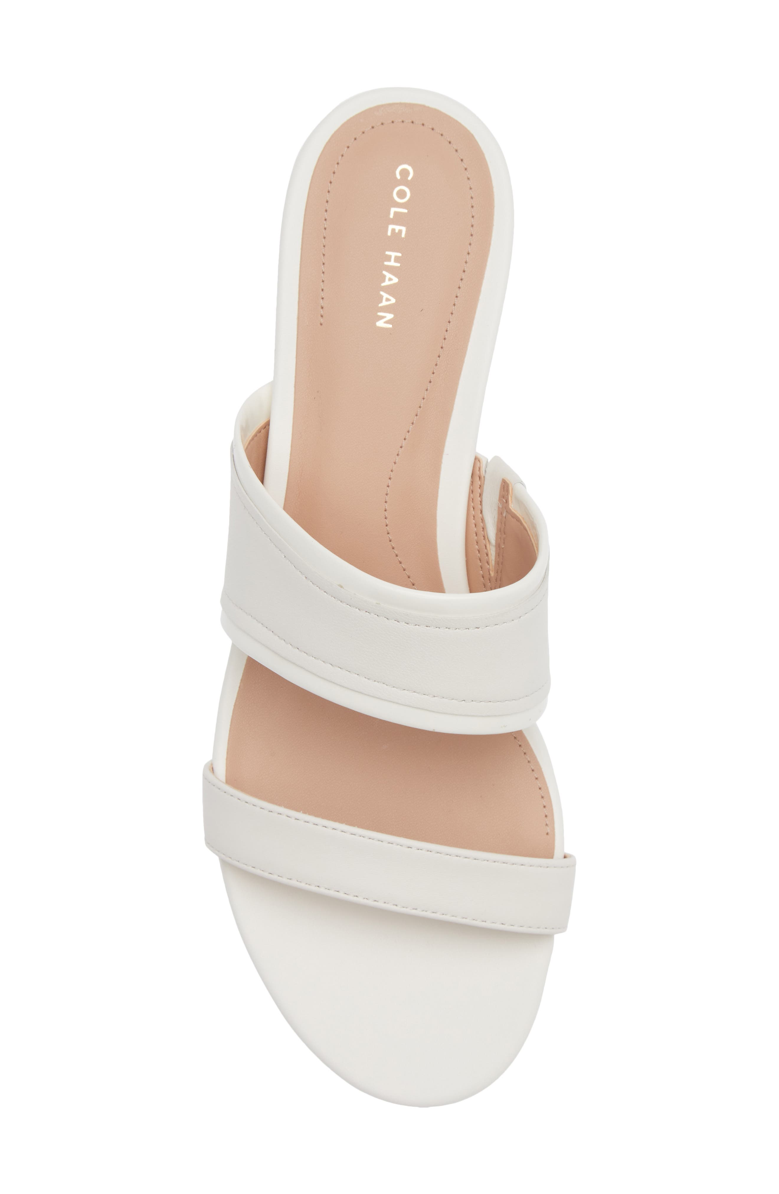 Fionna Wave Double Band Slide Sandals, Alternate, color, CH POWDER LEATHER