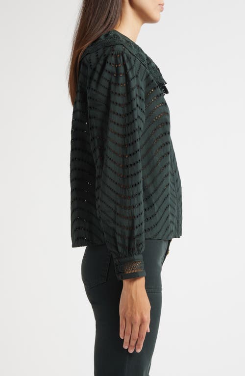 Ulla Johnson Fia Scallop Eyelet Ruffle Top In Black