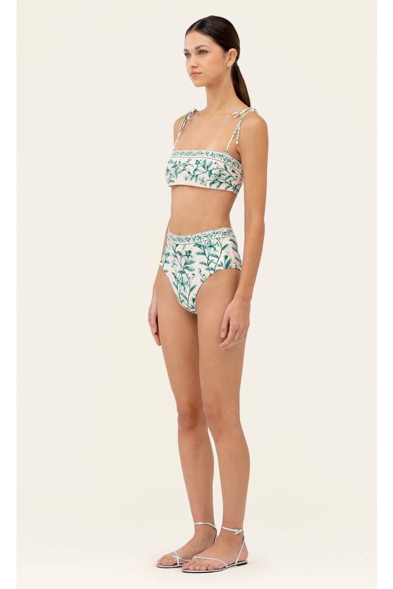 Magenta Ceiba Bikini bottom, Alternate, color, Multi