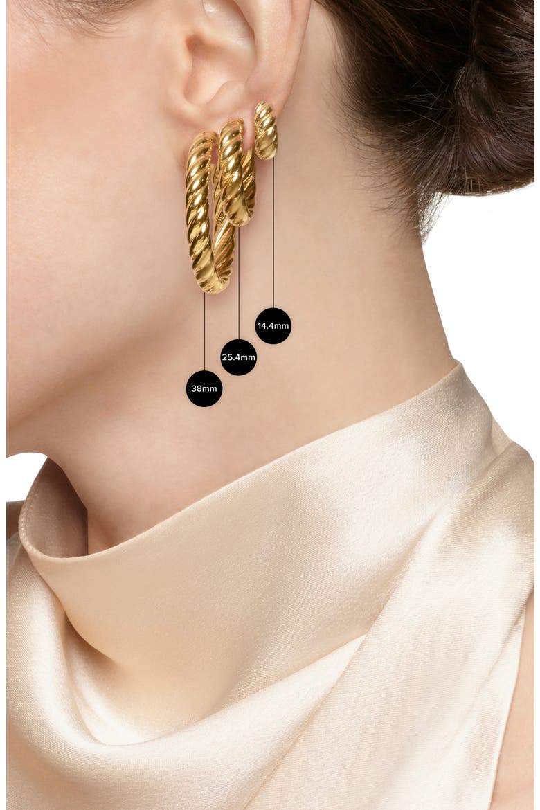 Sculpted Cable Hoop Earrings in Sterling Silver, Alternate, color, STERLING SILVER