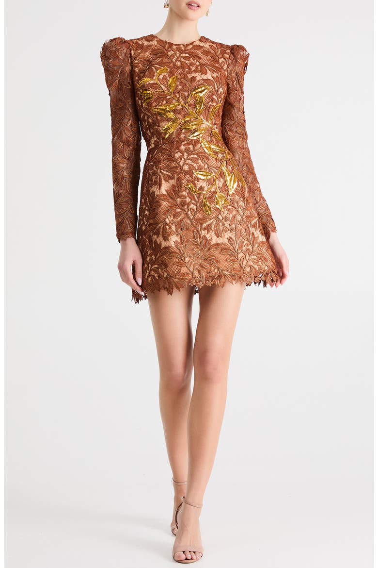 Savannah Embroidered Long Sleeve Minidress, Main, color, COPPER