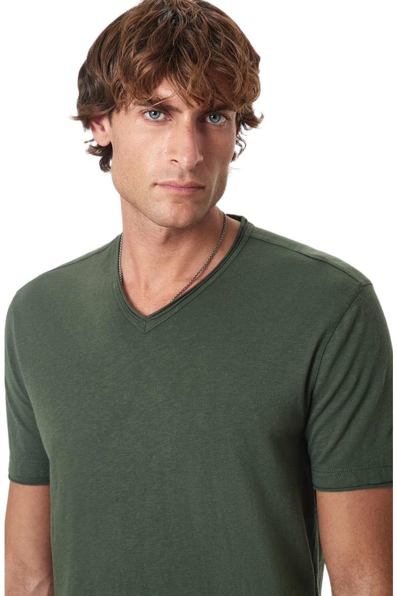 Miles Slub Organic Cotton V-Neck T-Shirt, Alternate, color, MOSS