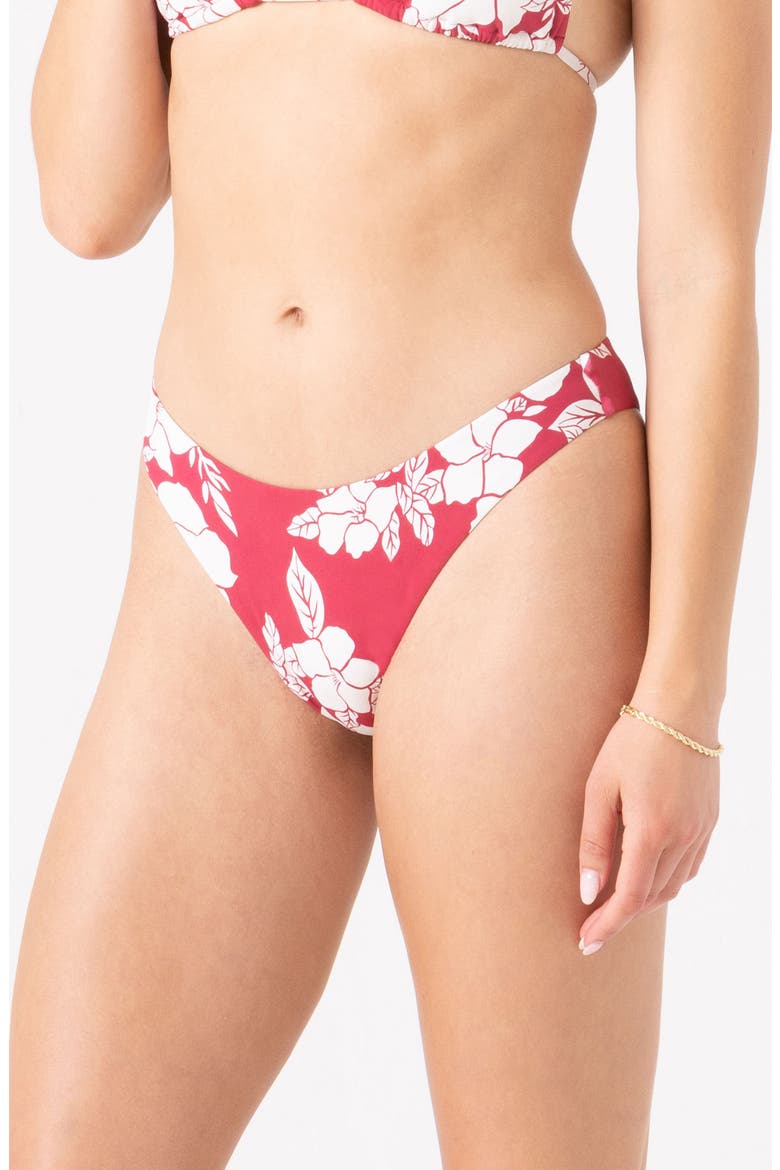 Hibiscus Hideaway Bikini Bottoms, Alternate, color, HIBISCUS