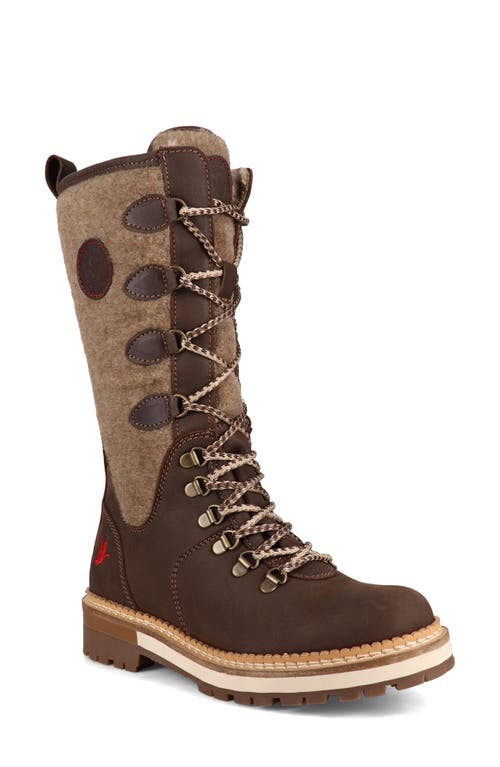 Santana Canada Chuska Waterproof Tall Boot In Dark Brown/tan