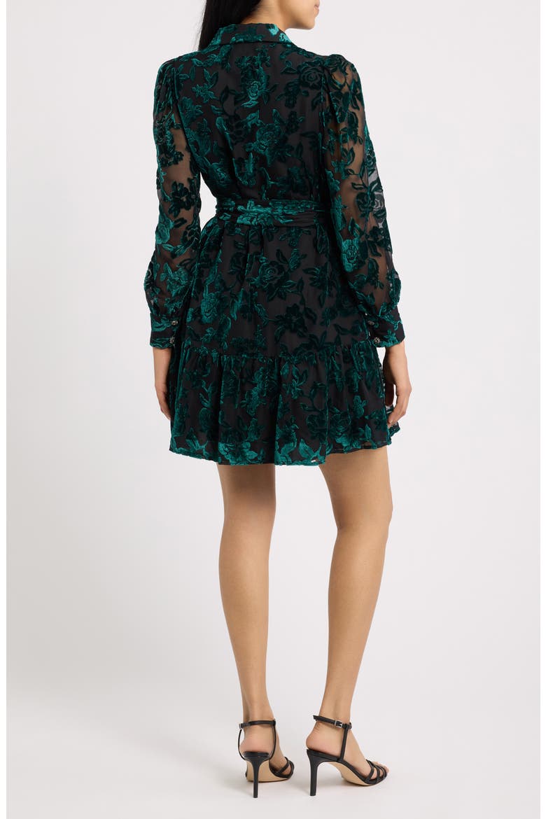Tiered Tie Waist Long Sleeve Burnout Shirtdress, Alternate, color, DEEP JADE / ANNE BLACK