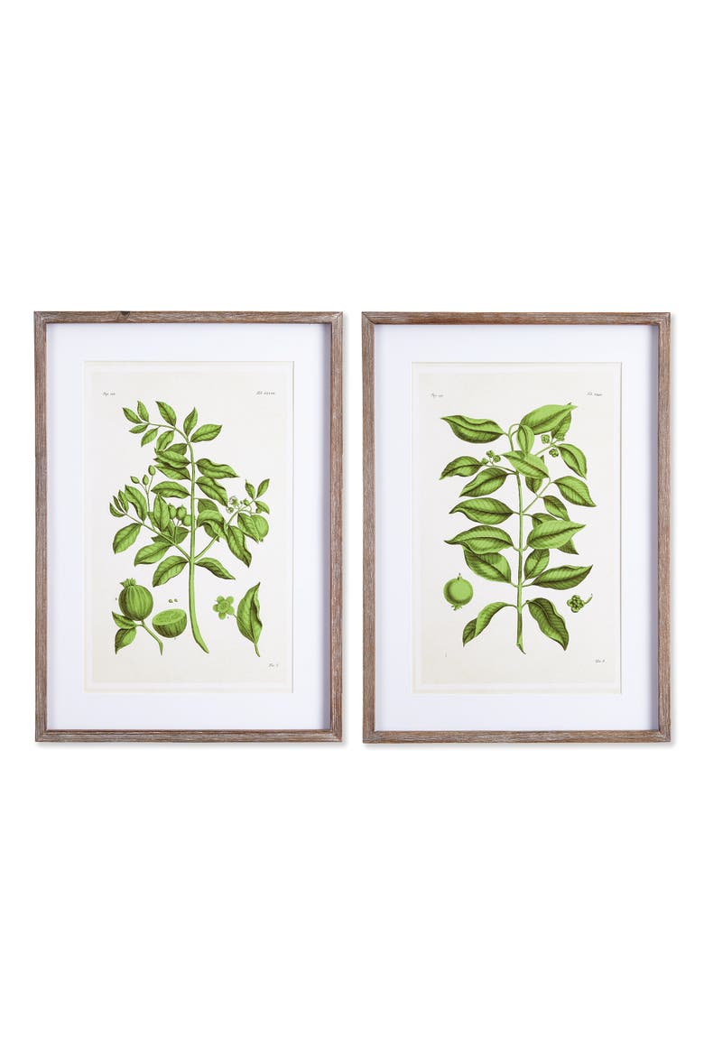 Guava Prints Set of 2, Main, color, Green