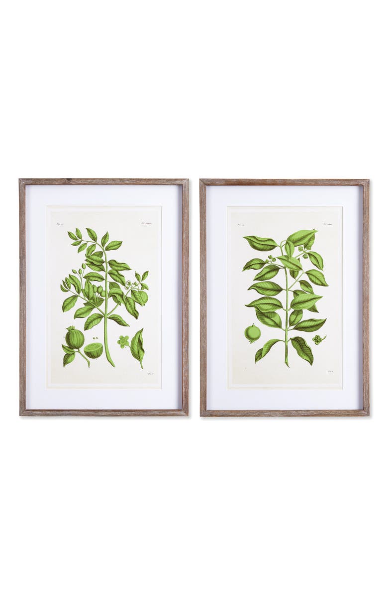 Napa Home & Garden Guava Prints Set of 2, Main, color, Green