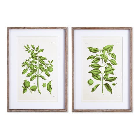 Guava Prints Set of 2
