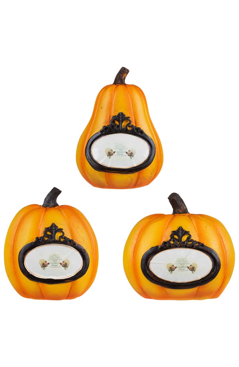 Northlight "Thanks, Today, Tomorrow, Always" Fall Harvest Pumpkin Decorations - 5.5" - Set of 3, Main, color, Orange