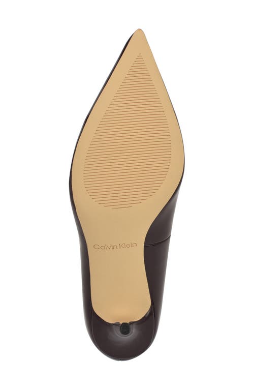 Calvin Klein Leciey Pointed Toe Pump In Brown