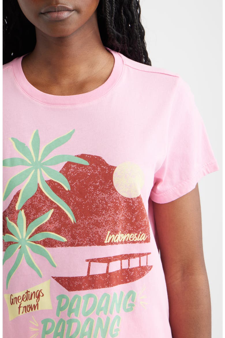 The Classic Crew Cotton Graphic T-Shirt, Alternate, color, PADANG