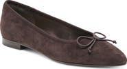 Dolce Vita Celio Pointed Toe Flat
