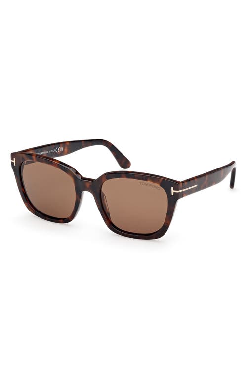 Tom Ford Haylay Acetate Rectangle Sunglasses In Shiny Dark Havana Eco