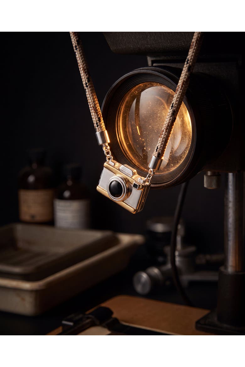 Alex and Ani Camera Locket Necklace (Women) | Nordstrom