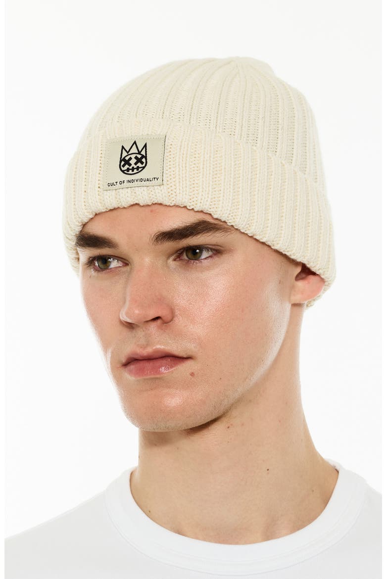 Rib Cuff Wool Blend Beanie, Alternate, color, WINTER WHITE