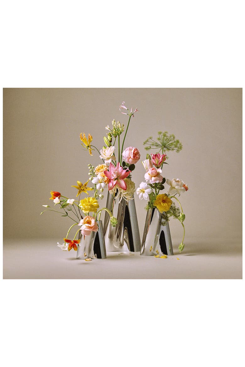 Lituus Stainless Steel Floor Vase, Alternate, color, STEEL