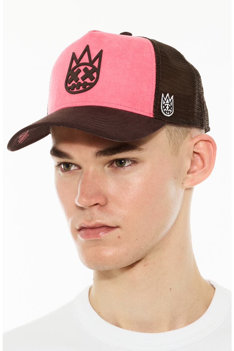 Logo Mesh Back Suede Trucker Hat, Alternate, color, CONFETTI