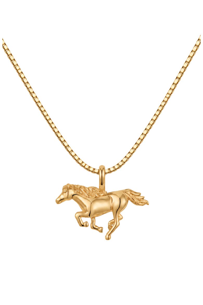 Fire Horse Box Chain Necklace, Main, color, Gold Vermeil