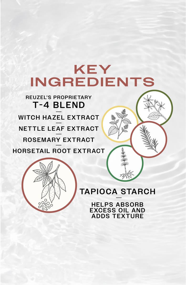 REUZEL FLASHDRY Dry Shampoo, Alternate, color, NO COLOR