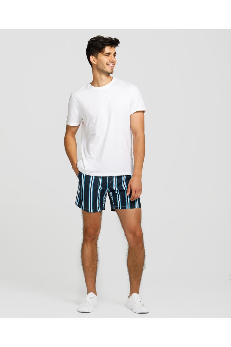 Nice Swim Short, Alternate, color, Navy & Light Blue Stripe