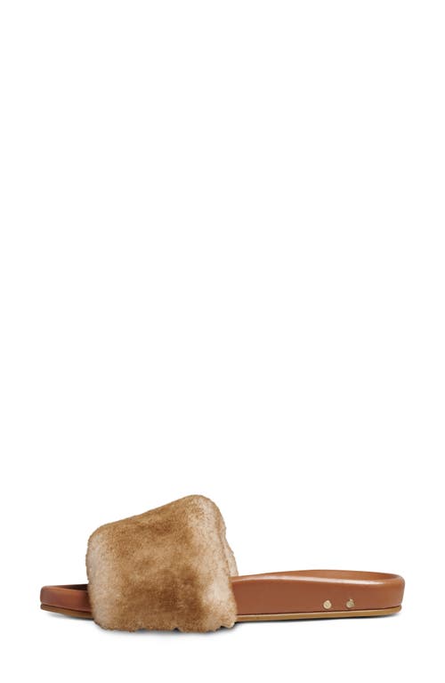 Beek Gallito Más Genuine Shearling Slide Sandal In Brown
