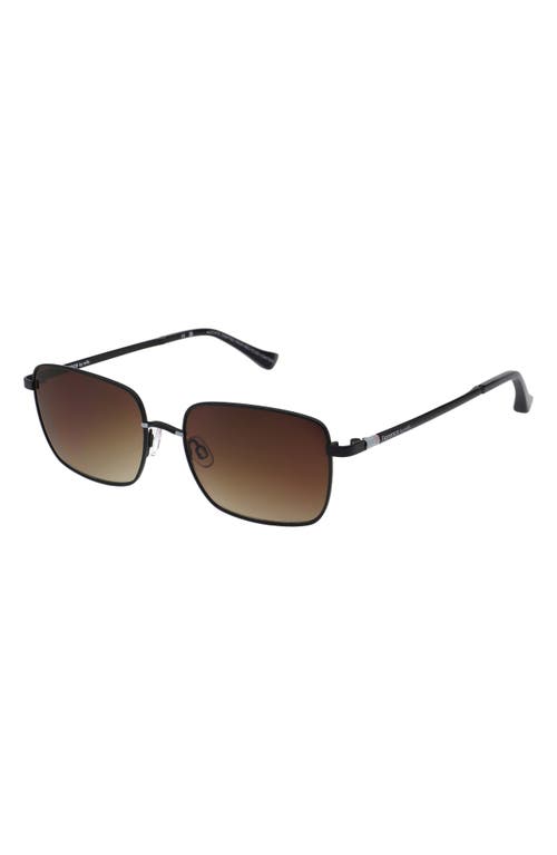 Florence By Mills 54mm Square Sunglasse In Brown