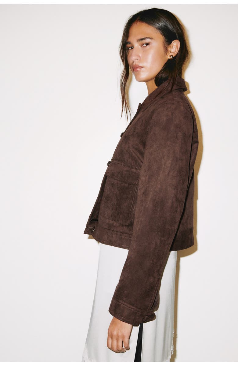 H&M Jacket, Alternate, color, Dark Brown