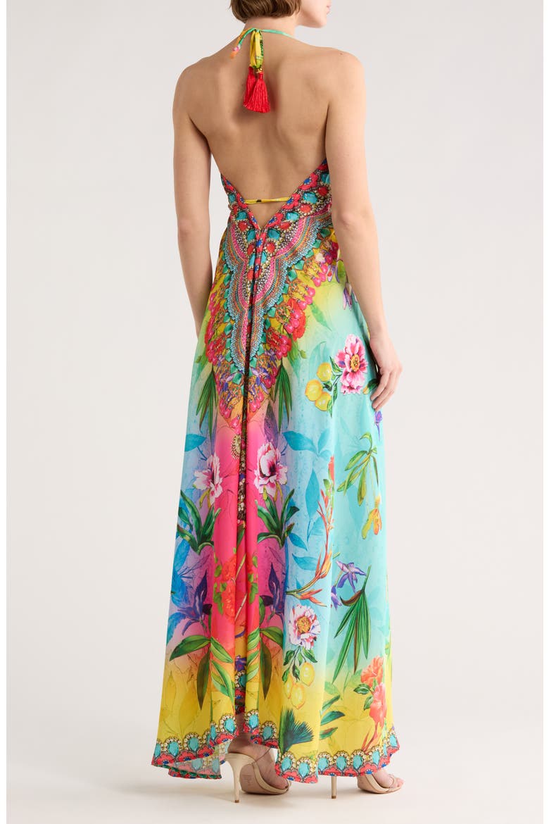 High-Low Halter Maxi Dress, Alternate, color, MULTICOLOR