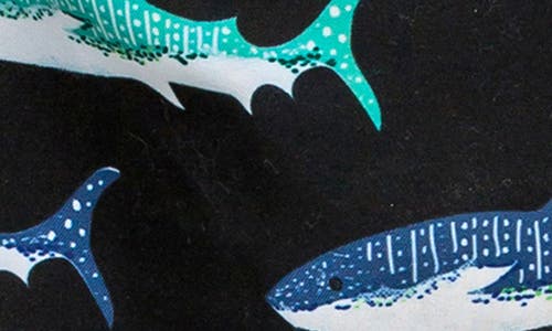 Snapper Rock Shark Swim Trunks In Black Multi