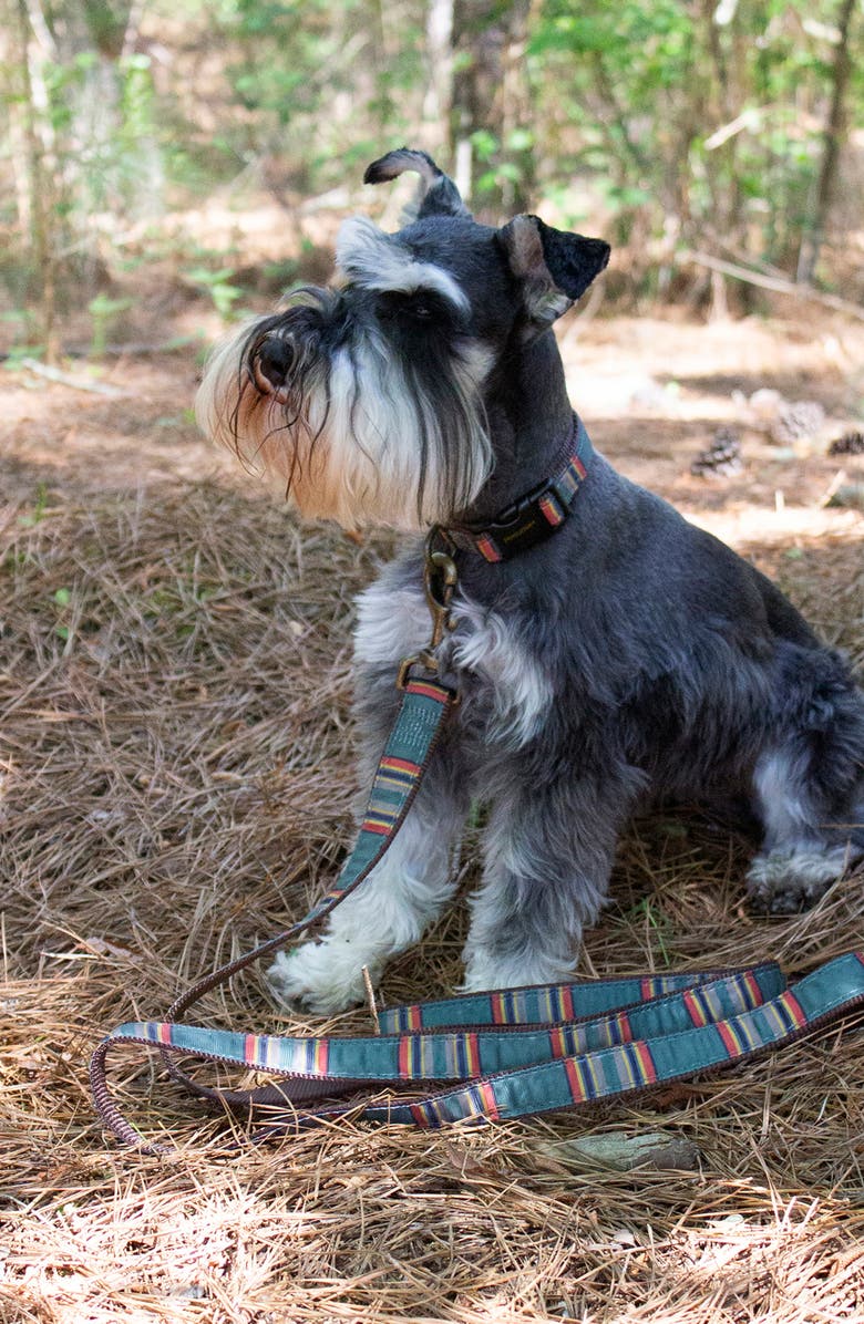 Pendleton Camp Dog Collar, Alternate, color,