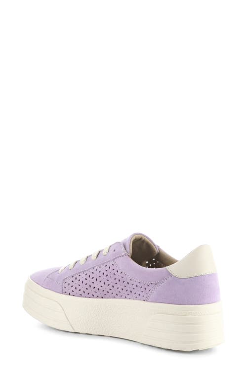 Bos. & Co. Lotta Platform Sneaker In Lavender