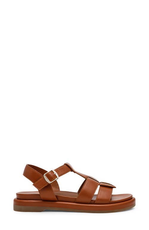 Anne Klein Emarent Sandal In Dark Cafe Raffia
