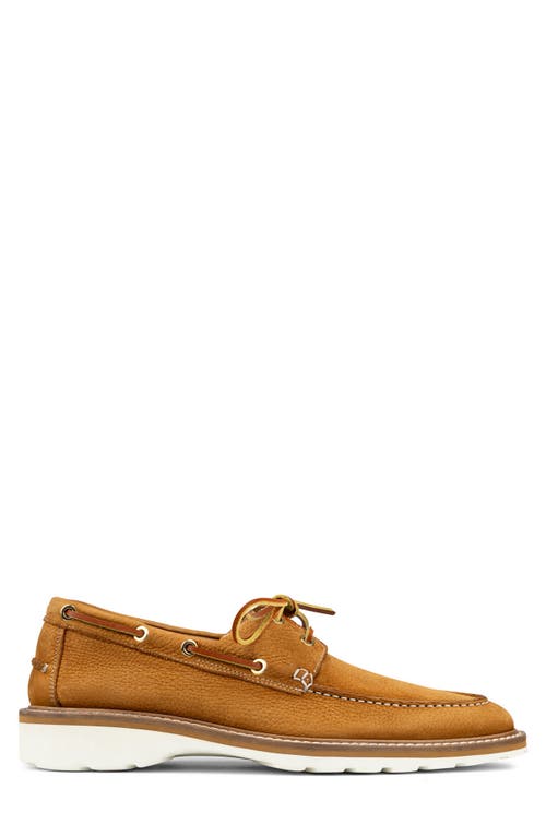 Donald Pliner Dempsey Boat Shoe