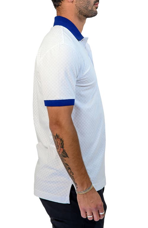 Maceoo Mozartsquaretip White Cotton Polo In Blue