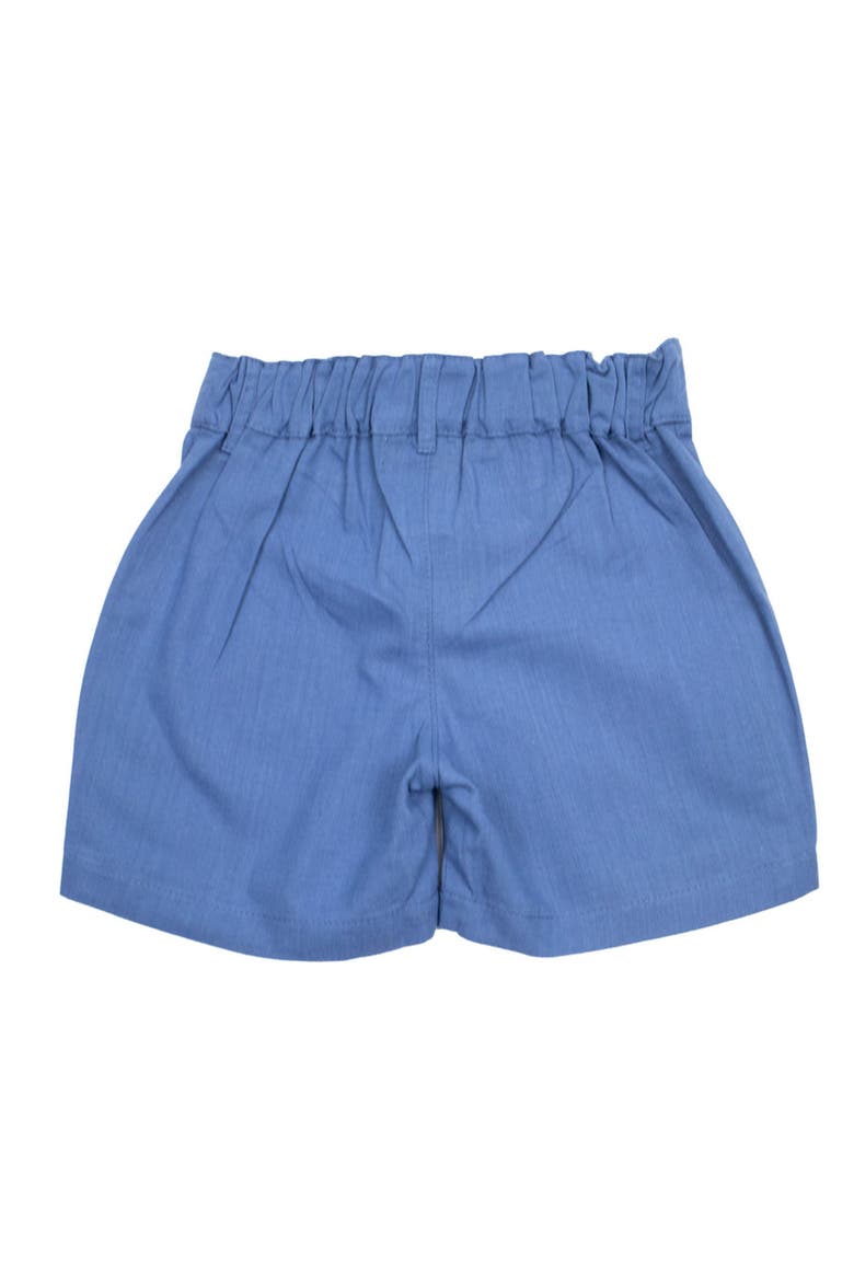 Linen Shorts, Alternate, color, Blue