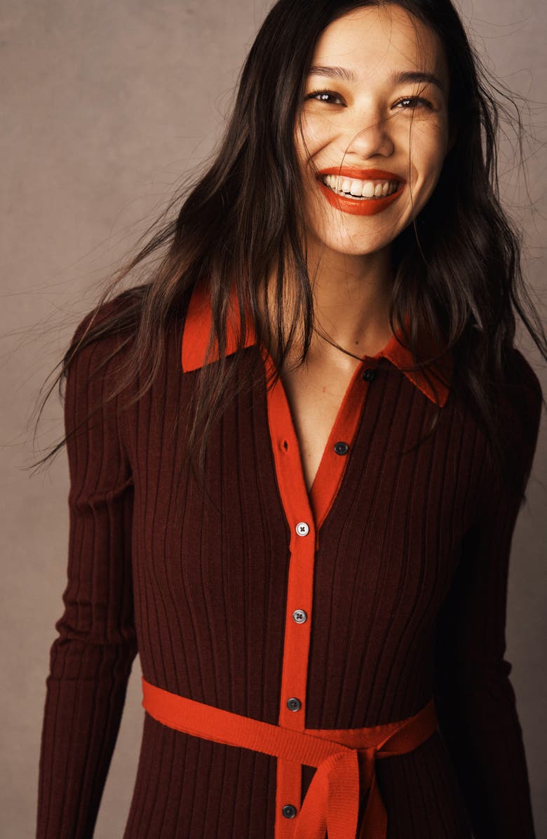 Boden Rachel Long Sleeve Cotton & Wool Rib Shirtdress, Alternate, color, Deep Wisteria