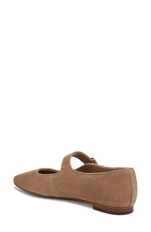 Sam Edelman Michaela Ballet Flats In Brown