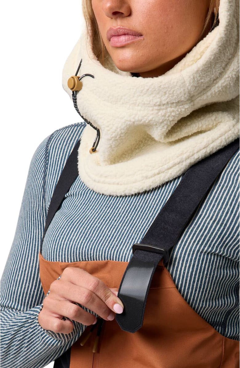 Backcountry Cottonwoods Gore-Tex Shell Bib Pant - Women's, Alternate, color, Sierra