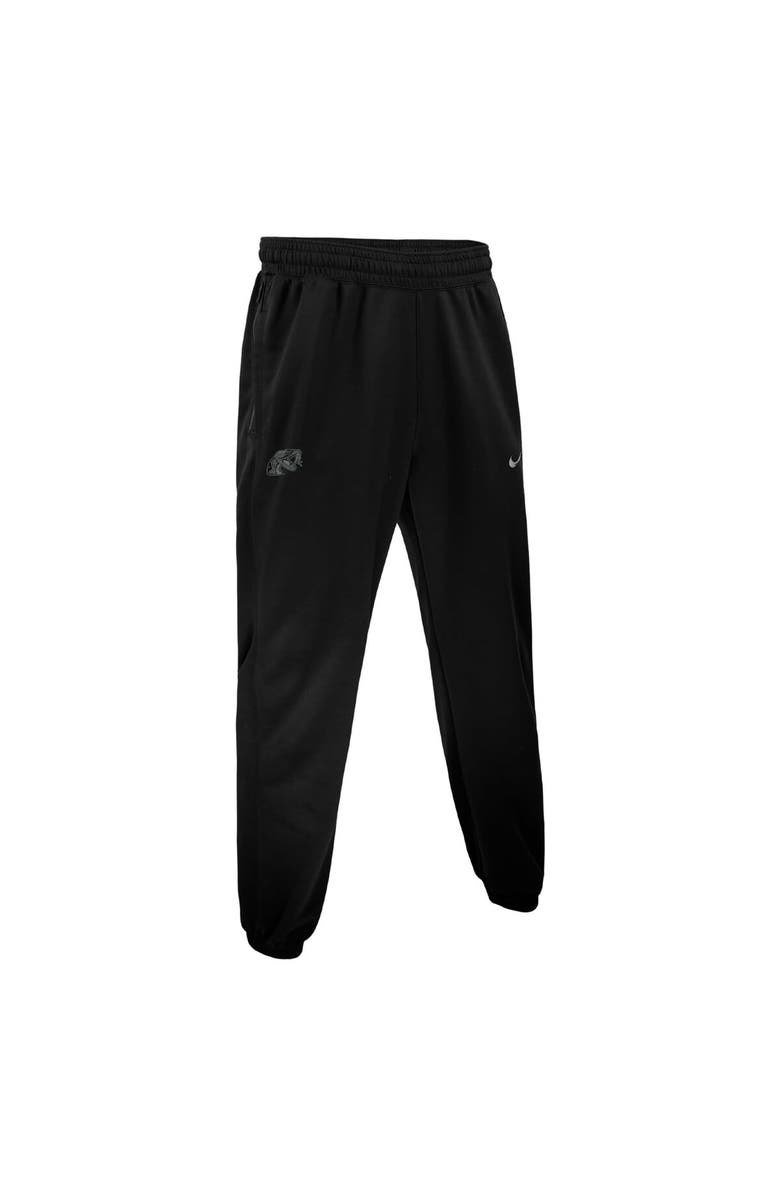 Nike Men's Nike Black Florida A&M Rattlers Basketball Spotlight Performance Pants, Alternate, color, 