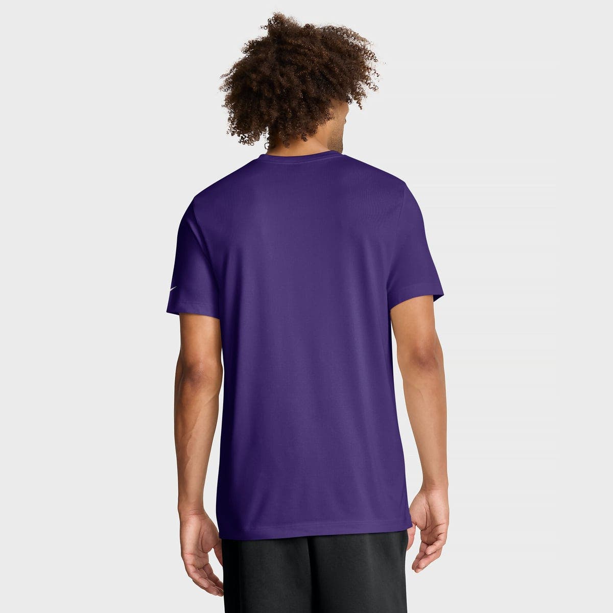 Nike Men's Nike Purple Minnesota Vikings Big & Tall Legend Icon Dri-FIT ...
