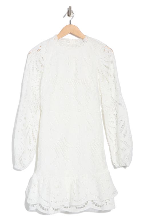 Nsr Lace Long Sleeve Dress